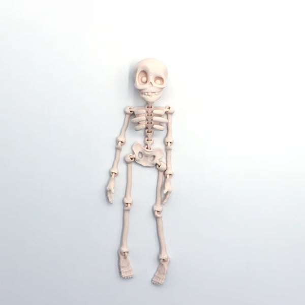 【Kupte 1, dostanete 1 zdarma】3D tištěná magnetická figurka vintage kostry 🎃