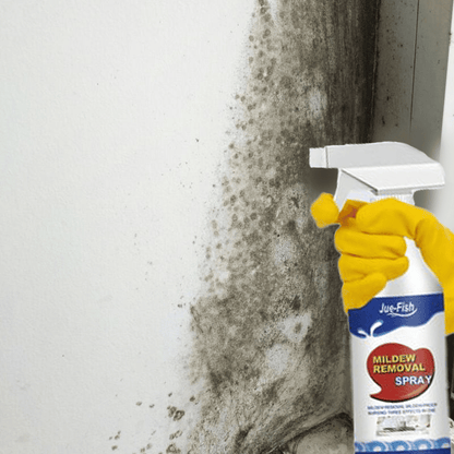 Extrémně účinný sprej na odstraňování plísní - Zabraňuje růstu plísní🦠